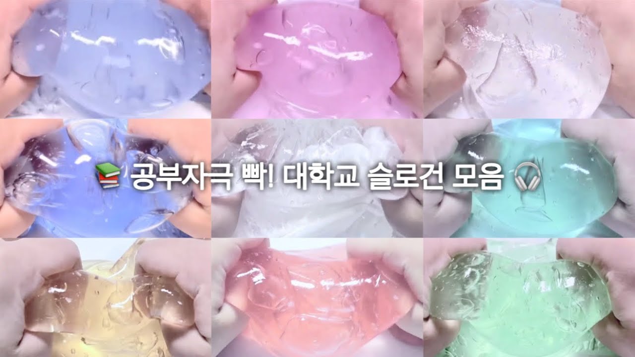 📚 공부자극 빡 되는 대학교 슬로건 모음 🎧 #정채빈