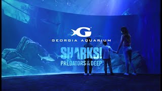 Run to the Sharks at Georgia Aquarium -  Extended Cut