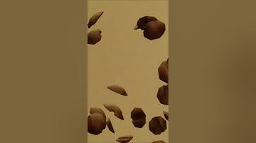 Coffee beans modeled In blender | collision effect | rigid body simulation rendered in cycles