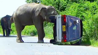 The heartwrenching fate of a van that was Attack  by two wild elephants