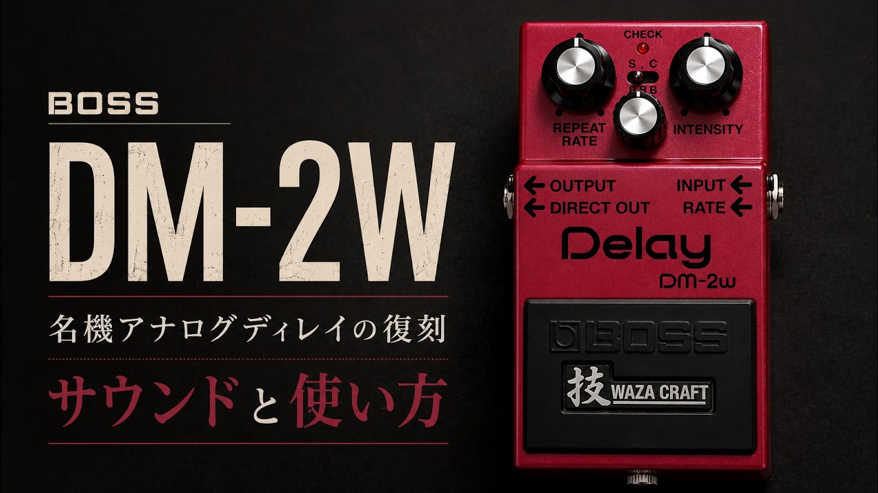 BOSS DM-2W ディレイエフェクター 【不具合あり】 BOSS DM-2W レビュー！STANDARD／CUSTOMモードの違いと使い方を