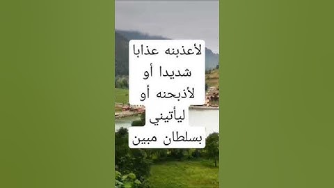 #القرآن_الكريم #quran  من #سورة_النمل