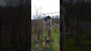 Арка для винограда.