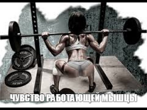 ������� ���������: ����.