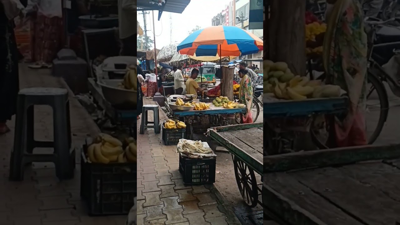 PALEJ | પાલેજ ❤️                 