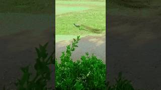 Fjkidjdjjjjej Dxjsjj Zheidjxh Jdjdjx. Z