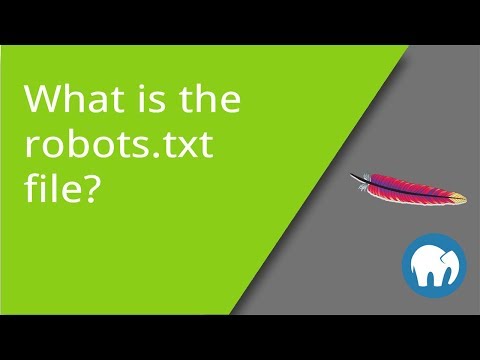 What is the robots.txt File