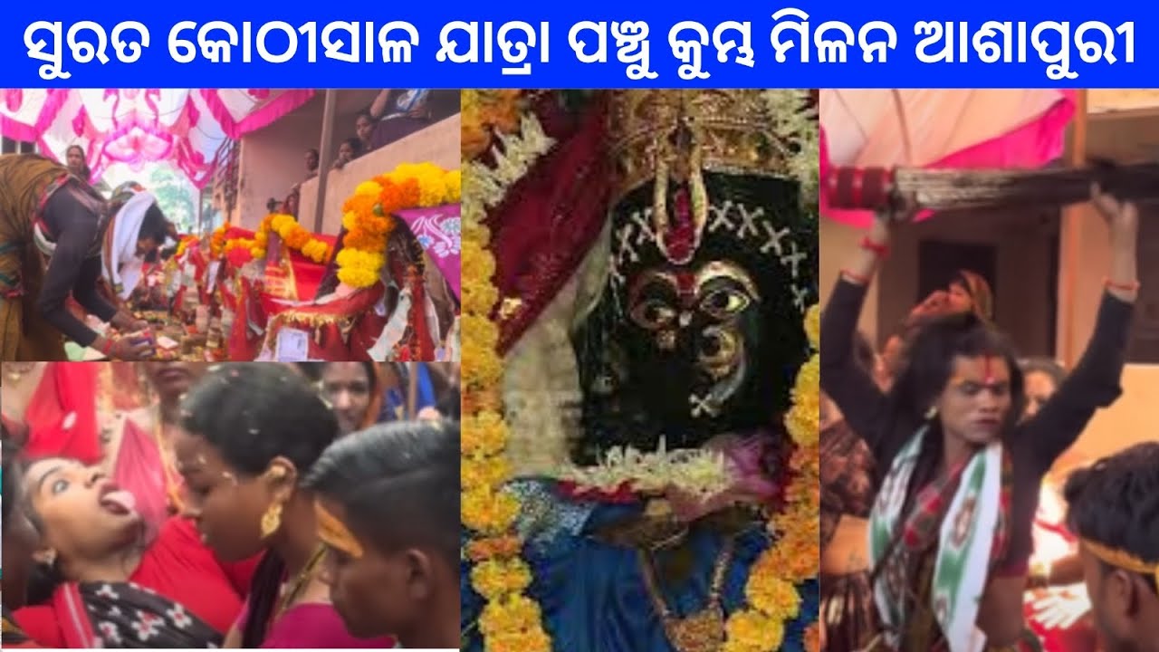 ସୁରତ କୋଠୀସାଳ ଯାତ୍ରା ପଞ୍ଚୁ କୁମ୍ଭ ମିଳନ ଆଶାପୁରୀ #viral #maamangala #surat 