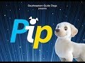 Щенок спасатель Pip. Мультфильм про щенков. Собака Pip поводырь