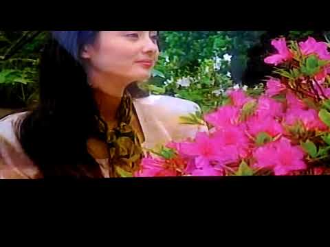 陈良泉MV(爱你岁岁年年)冯昭明演唱