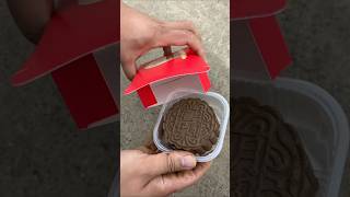 Cow Dung Cake Prank On Mom Gone Wrong Alex & Gigi Funny Moment