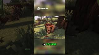 Minecraft Modding  1 16 5 vs 1 12 2   Best Version