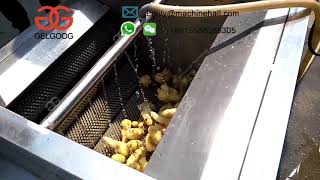 Automatic Ginger Peeling Machine Manufacturer丨Electric Ginger Washing and Peeling Machine