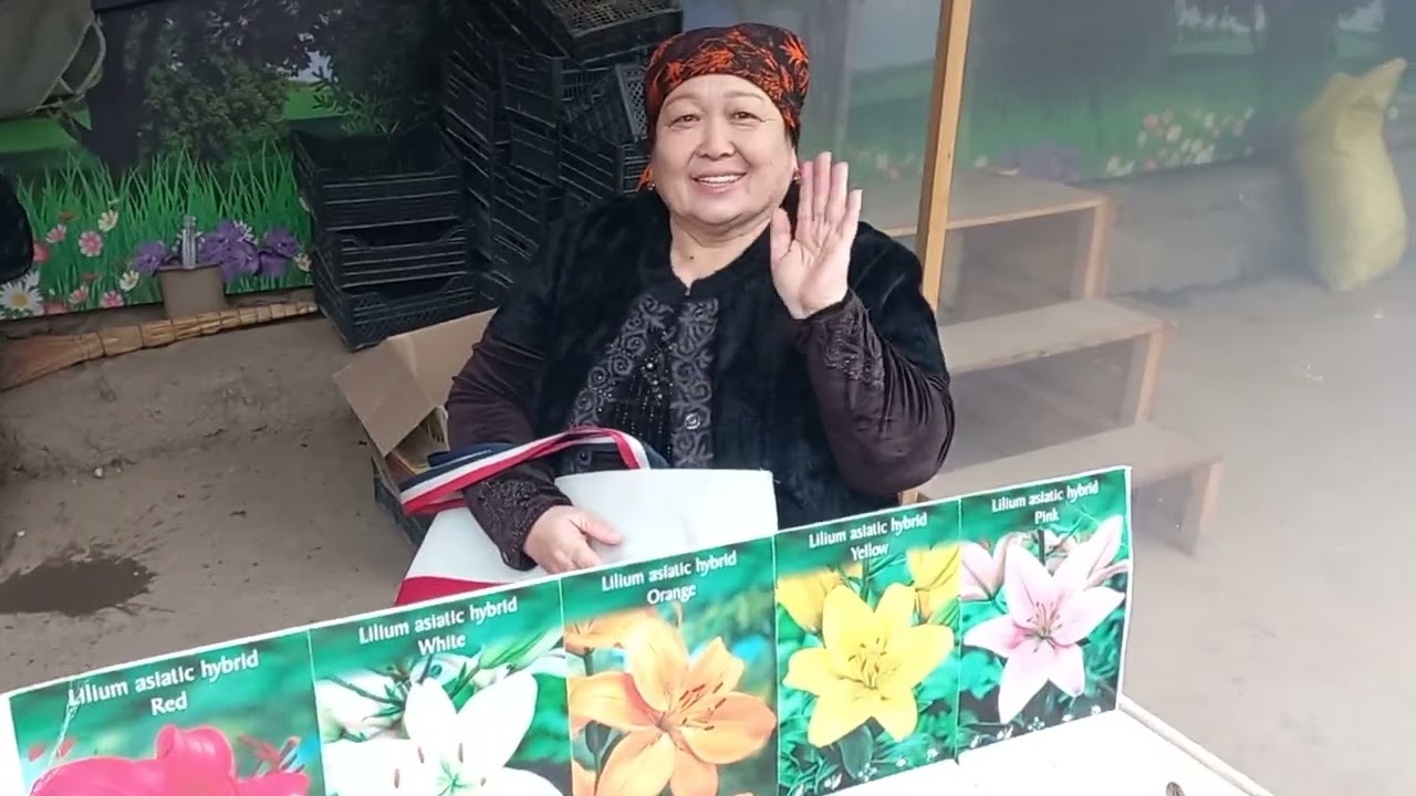 8 ФЕВРАЛЬ ГИПЕАСТРУМНИ ЭКДИЛАРМИ🌷🪻🪷🏵🌷🪻🪷🏵🪷🏵🌷🪻🪷🏵🌷🌾🌱