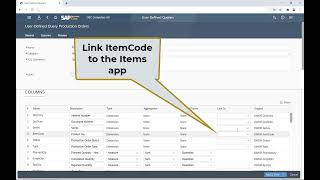 User-Defined Queries (UDQs)
