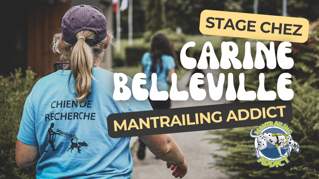 3 jours d'entrainement chez Carine Belleville - Mantrailing Addict 