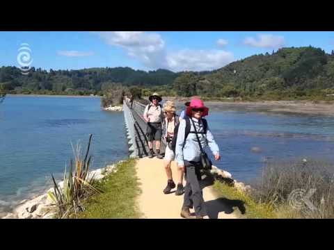 Wasp eradication programme trialled in Abel Tasman: RNZ Checkpoint