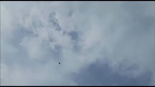 Multiplex Dogfighter Speeder 5s über 300 kmh