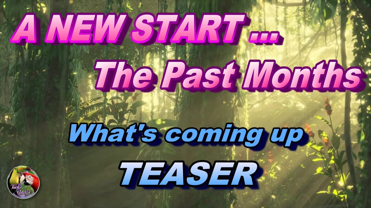 A NEW START ... The Past Months - What's coming up - TEASER