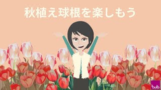 秋植え球根を楽しもう！　早春から晩春までいろんな花が咲いてくる