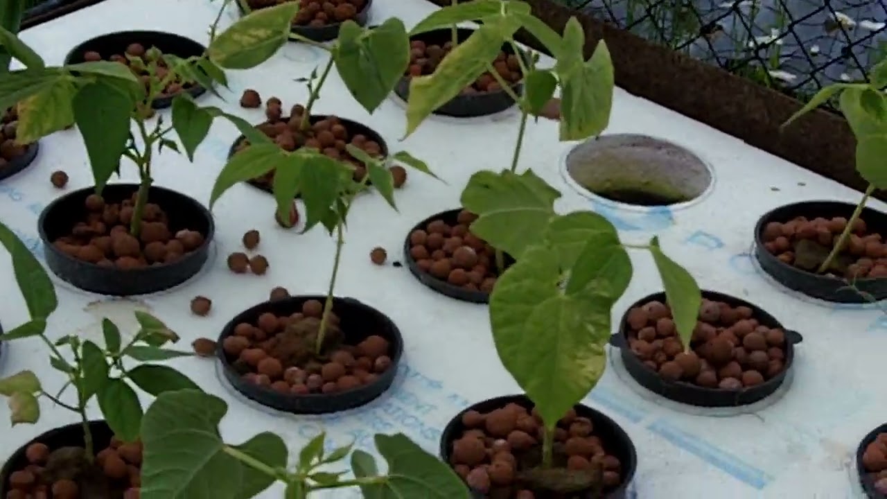 jardin hydropo 360 1633