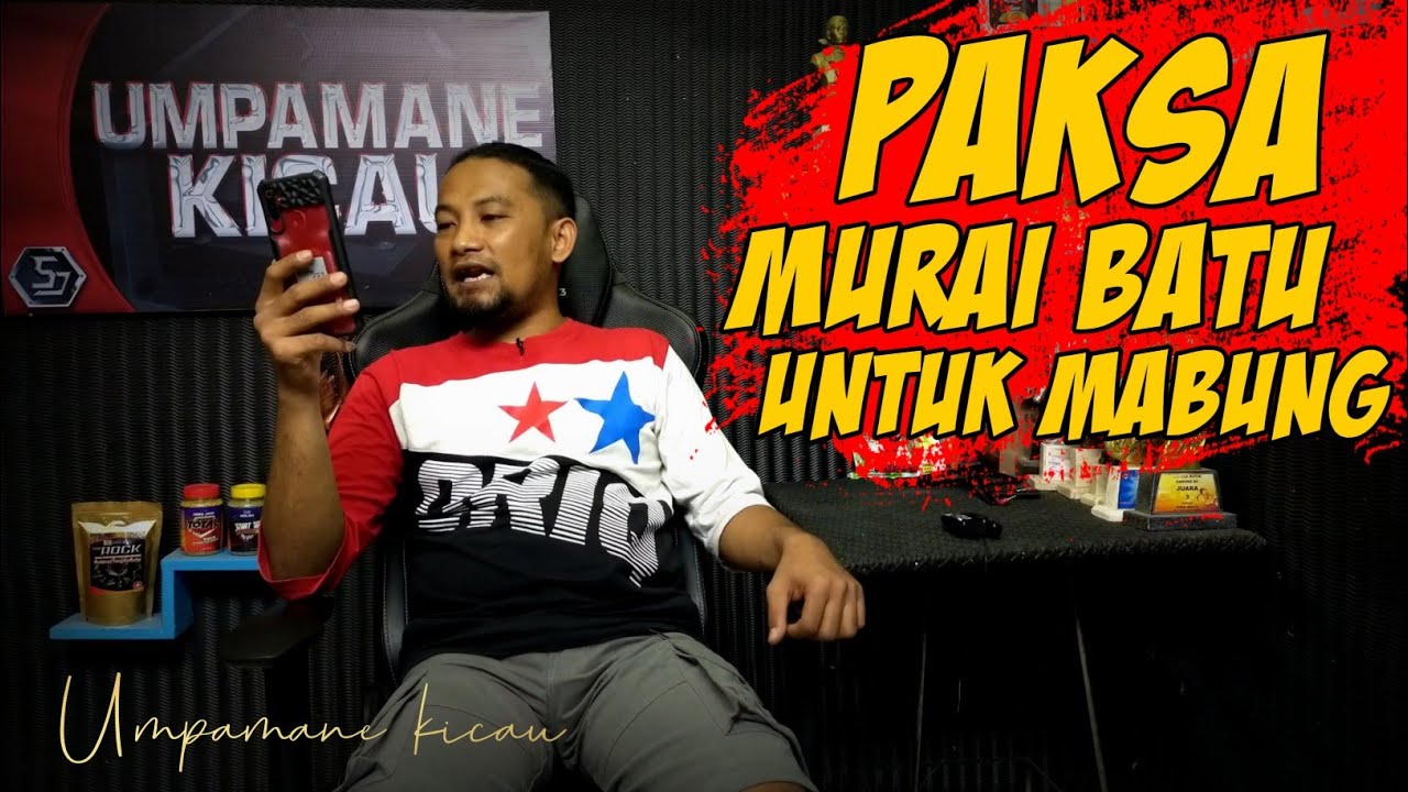 paksa MURAI BATU mabung/rontok bulu