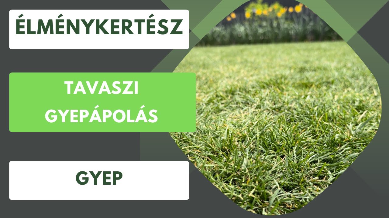 Tavaszi gyepápolás