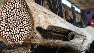 Amazing !! Shocking discovery while chopping long teak wood at sawmill