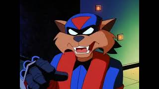 Swat kats