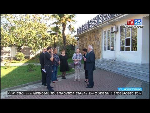 თეიმურაზ შაშიაშვილის გეგმები საპრეზიდენტო არჩევნებზე