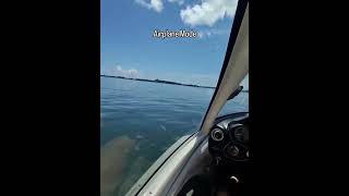 Download Lagu Endless Summer ☀️✈️📸 Made with 😎 . . . . . #FlyTheICON #ICONA5 #Seaplane #AviationLife MP3