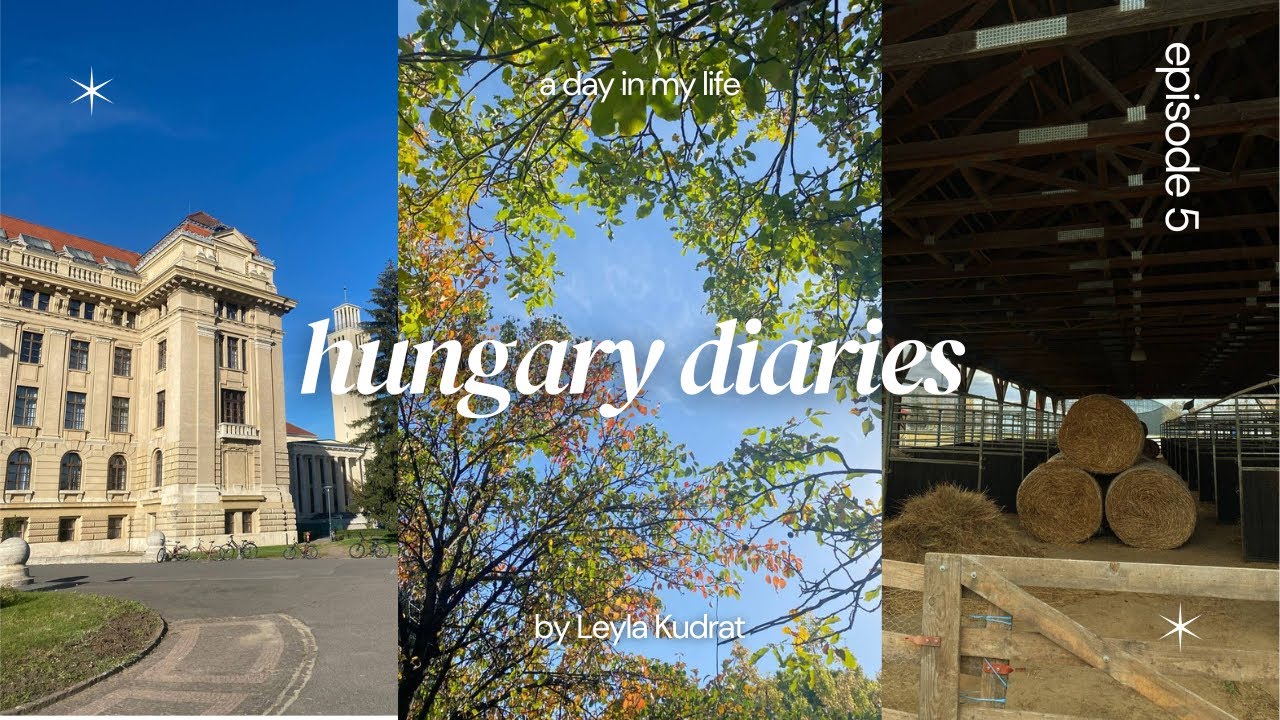 Студенческая жизнь в Венгрии: мой день в Дебреценском университете @universityofdebrecen_official