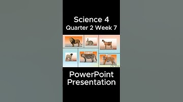 Science 4 Q2 Week 7 MATATAG PowerPoint Presentation #matatagcurriculum #matatag #grade4