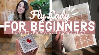 ✨Beginner Guide To FLY LADY! (Entire System EXPLAINED)