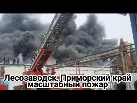 Лесозаводск, Приморский край, сильный пожар, горит деревоперерабатывающий завод 25 апреля 2023 г.