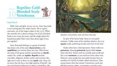 CKLA Grade 3 Unit 2 Lesson 8