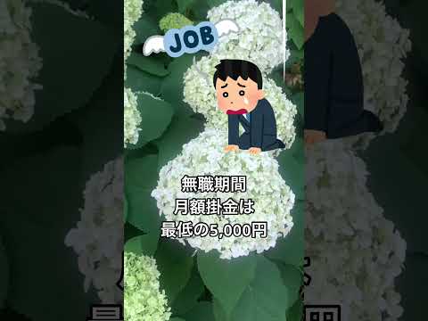 【年金】「iDeCo」の「月額掛金」公開 #short #50歳 #年金 #ideco #イデコ #掛金 #公開