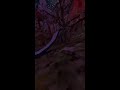 Meta Quest Broadcast | Powered by LIV
