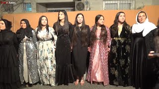 Le Aynur Zalım Aynur Yeni Kürtçe Halay 2022 Şevko / Şivan Müzik