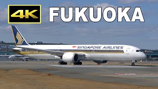 [4K] Boeing 777, 787, 767, 737 at Fukuoka Airport / 福岡空港 / Fairport