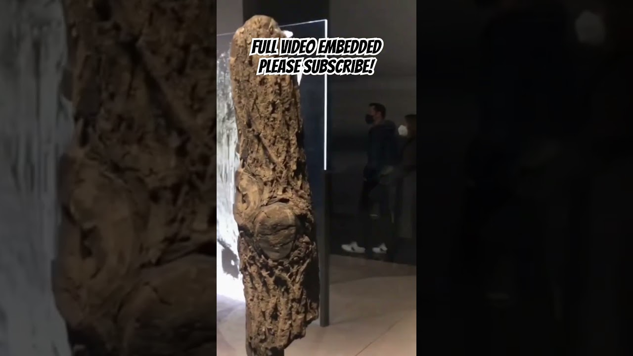 SEAHENGE may have been built for an ANCIENT MAGIC RITUAL to extend the summer 