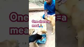 PLEASE DONT SCROLL BEFORE YOU ATLEAST SHARE 🙏🏽