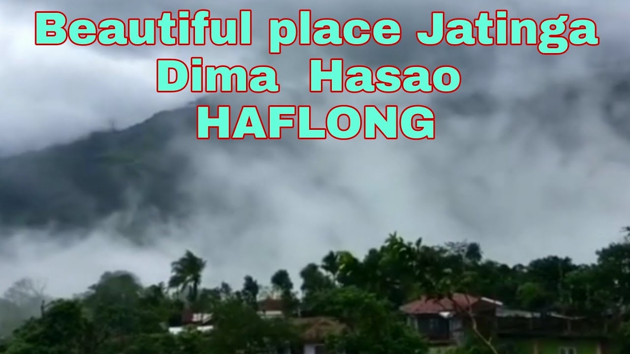 NATURAL BEAUTIFUL PLACE JATINGA HAFLONG ASSAM.BEAUTIFUL PLACE OF ASSAM .Vlogs coming soon...