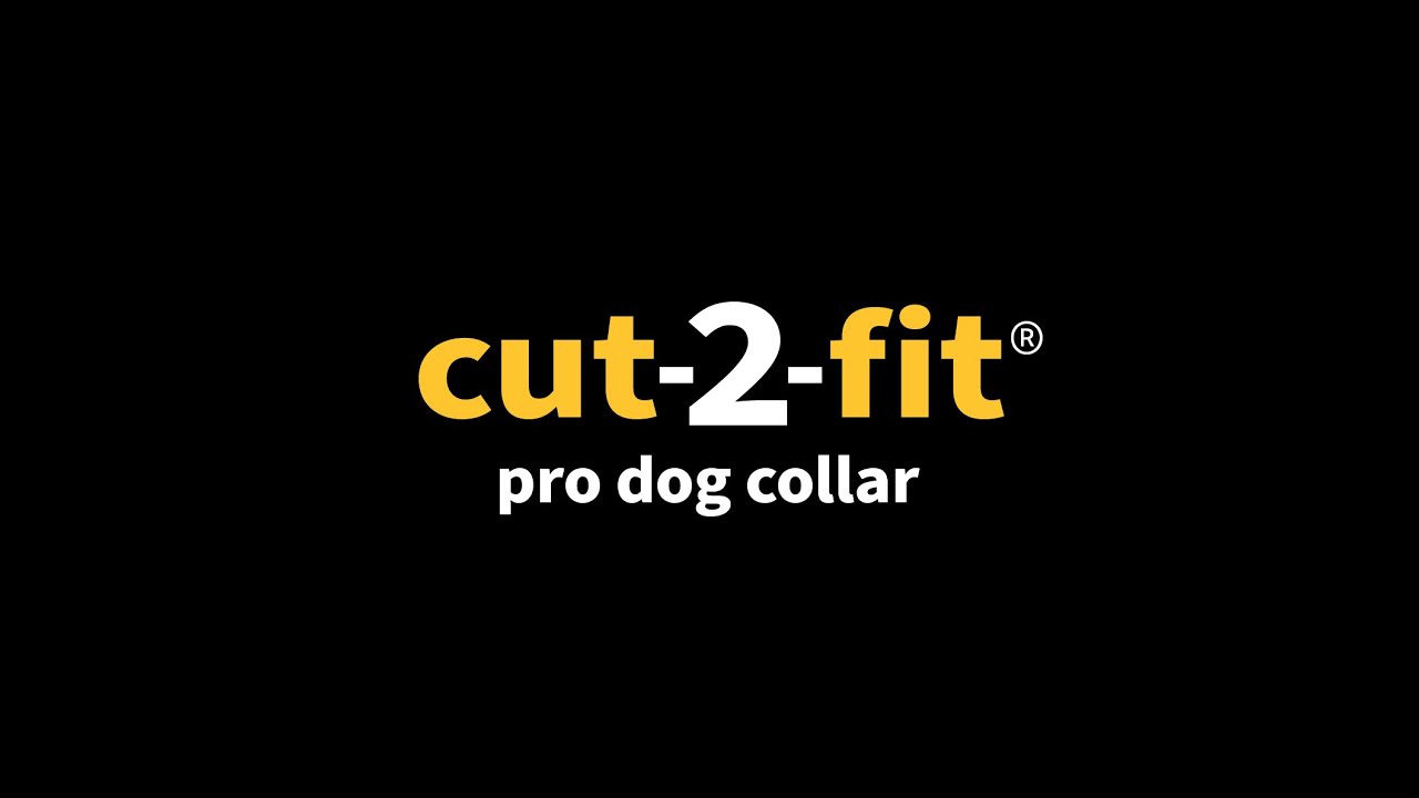 Cut-2-Fit Pro Dog Collar By Pro-Leash