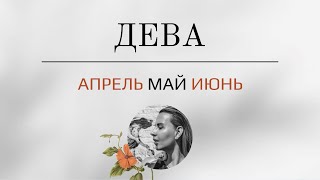 ДЕВА 🪬 Апрель ⭐️ МАЙ ⭐️ Июнь 2024 🪬 Таро - прогноз.