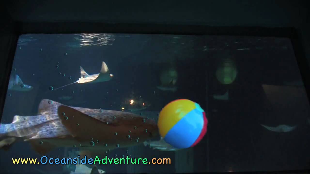 waves hairstyle OceansideAdventure.com - The Dive Outtake