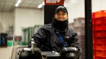 Dandi about working and living in the Netherlands