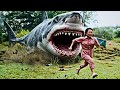 No One Can Escape From This Deadly Giant Mutated Shark's 🤯 | Film/Movie Explained In Hindi/Urdu