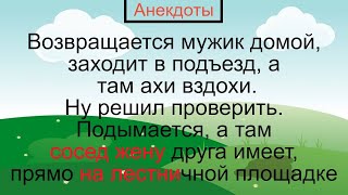 Как Сосед Имел Жену В Подъезде… Подборка Смешных Жизненных Анекдотов Лучшие Короткие Анекдоты