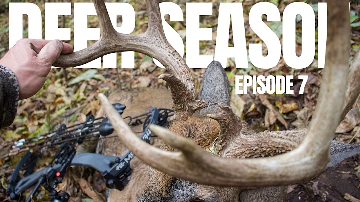 Illinois PUBLIC LAND GIANT!!!! - Bowhunting rut funnels!! - Illinois Archery Deer Hunt 2025